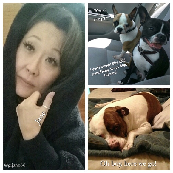 Posh Ambassador - Picture 7 of 8